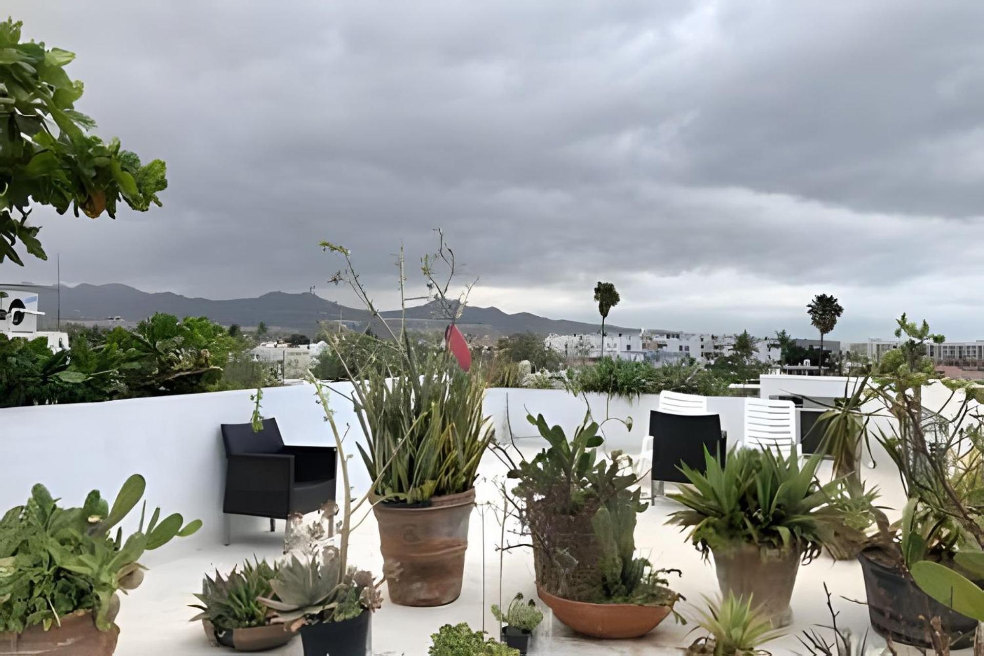 12 De Octubre Leilighet Cabo San Lucas Eksteriør bilde