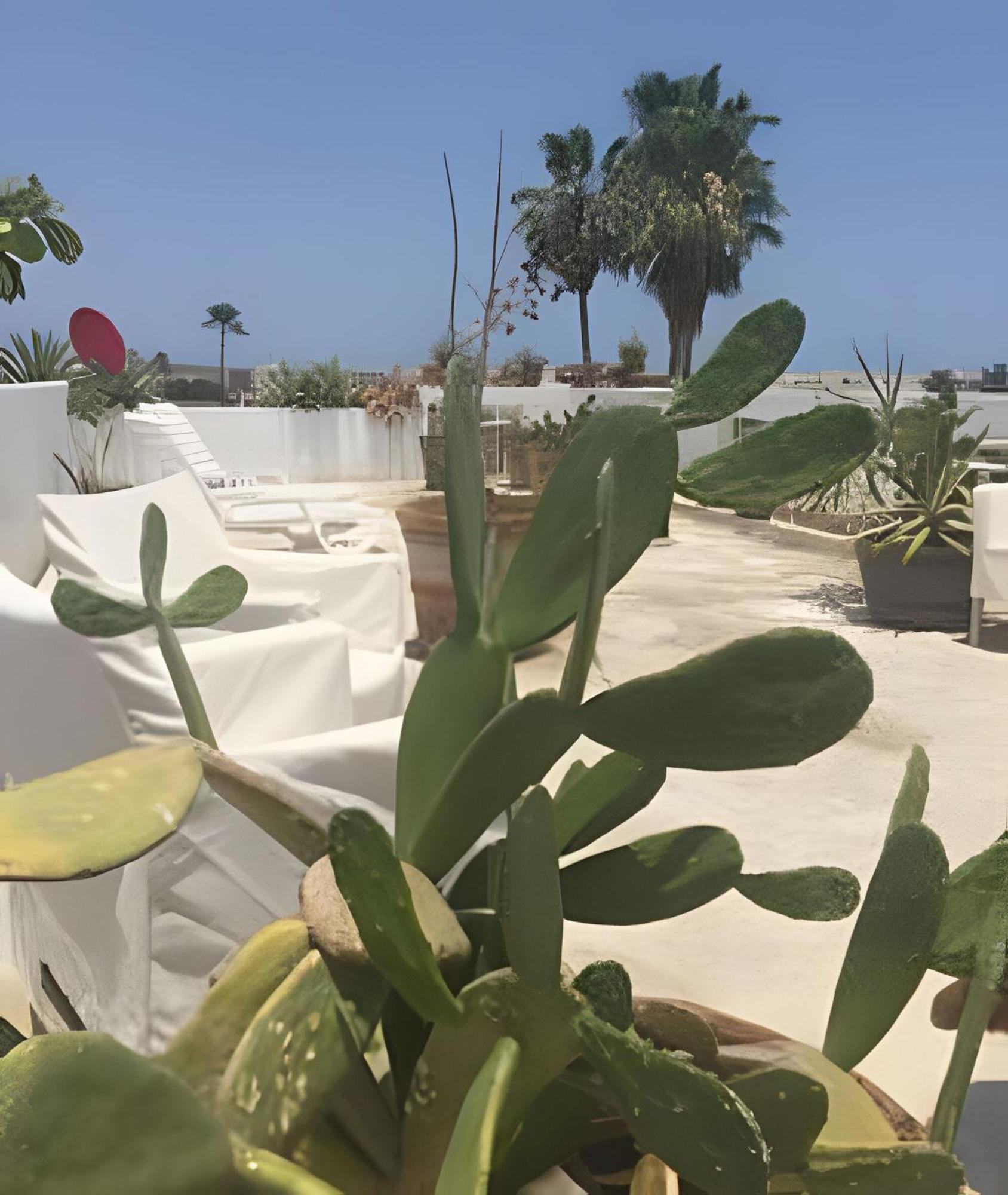 12 De Octubre Leilighet Cabo San Lucas Eksteriør bilde